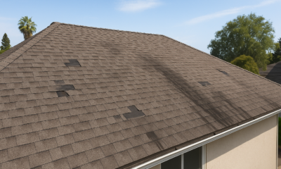 How to Spot Roof Problems: Identify Warning Signs Early